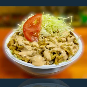 チキンケバブ丼-Chicken Kebab Bowl